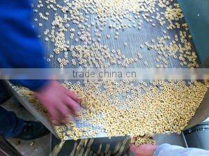 300kgs extruded and dried pet food processing line for dogs, cat etc. +86 15553172778