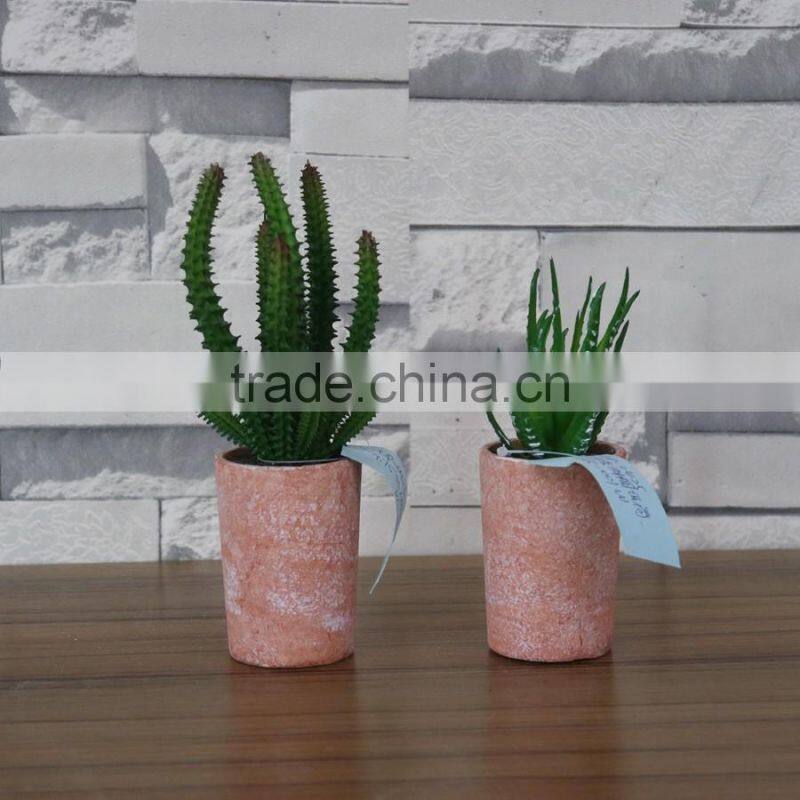 Plastic succulent plants producer and factory