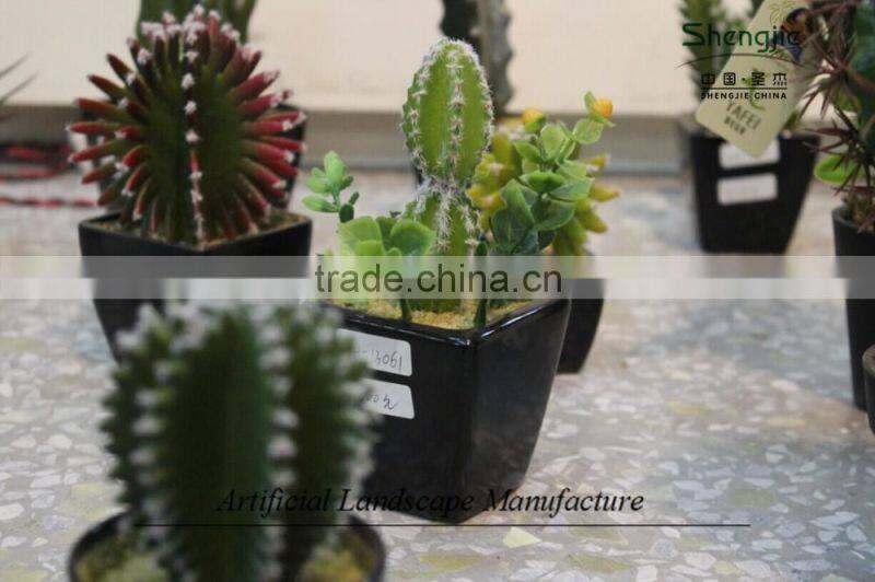 mini succulent plants potted plants for decoration