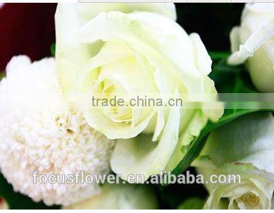 For Valentine's Day Occasion cut flowers rose fresh flower Avalanche flower from Kunming