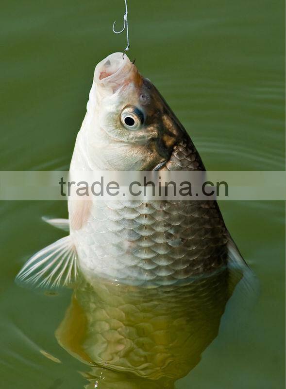 PVA mesh for fishing