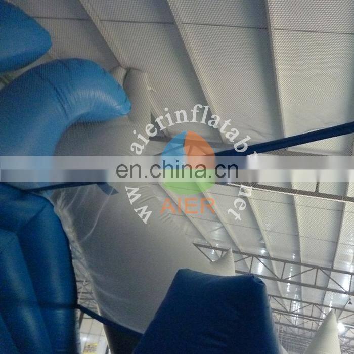 Giant Inflatable shark water slide with pool for sale,Inflatable jumping water slide