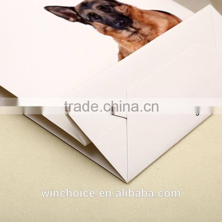 Ivory board paper /art paper bag ,shopping bags,with customized CMYK promotion bag