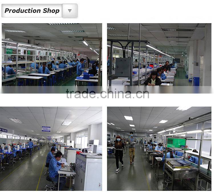 Lifepo4 Rechargeable Lithium Battery 12V 12Ah Pack