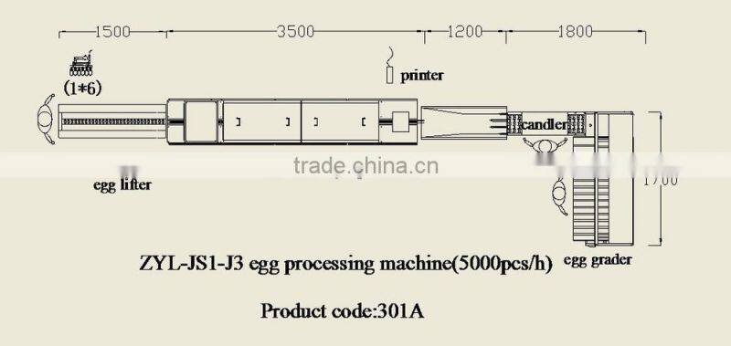 Egg processing machine/ egg washing /egg grading machine