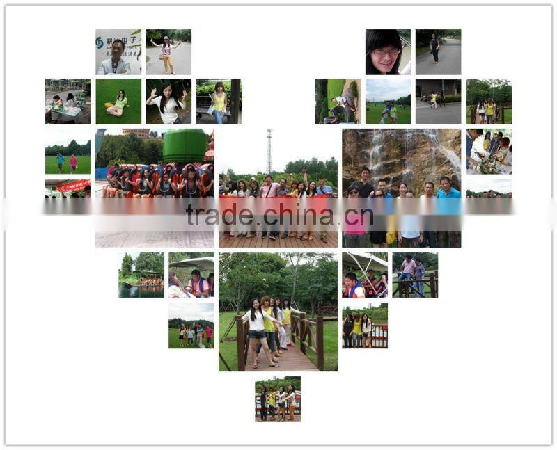 SECURITY CONTROL MODERN DESIGN SWING TUBE GATE