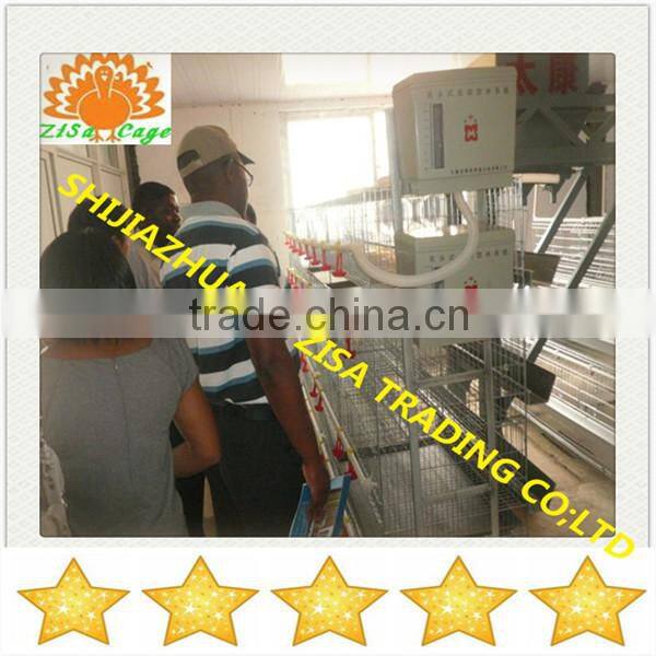120 birds poultry cage for battery layer chicken farms