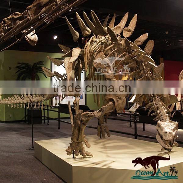 OA6146 Museum Use Exhibition Dinosaur Skeleton Fossil