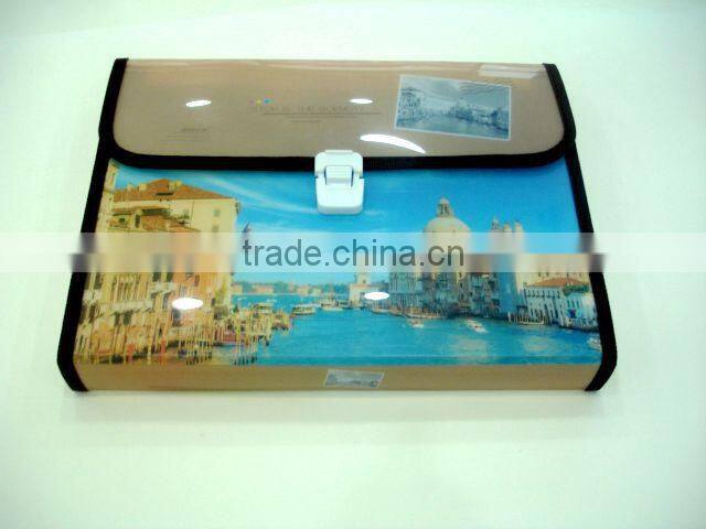 pp file holder/clear book/data book/a4 office pp clear plastic book cover