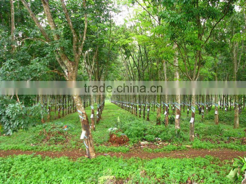 Bulk Rubber tube wholesale directly price from Large factory