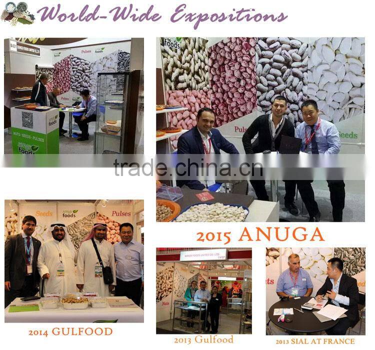 Edible Grade AA pumpkin seeds kernels