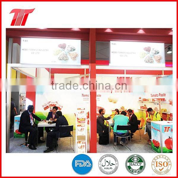 Double Concentrated Sachet Tomato Paste OF YOLI Brand with Low Price