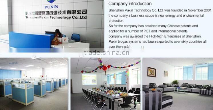 Excellent Biogas stove double burner