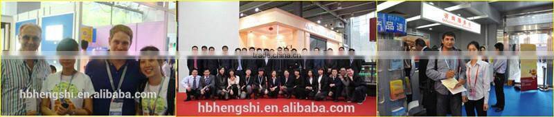 Favorable price electro galvanized pallet coil nails / common wire nail