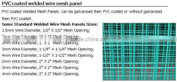China manufacturer welded wire mesh panel