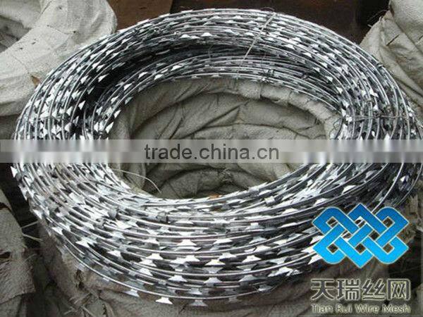 Galvanized Barbed Wire with 4 Points / razor barbed wire