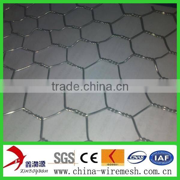 chicken fencing duck fencing mesh/hexagonal double twisted wire mesh