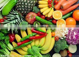 Stainless steel Potato/Carrot Washing Machine