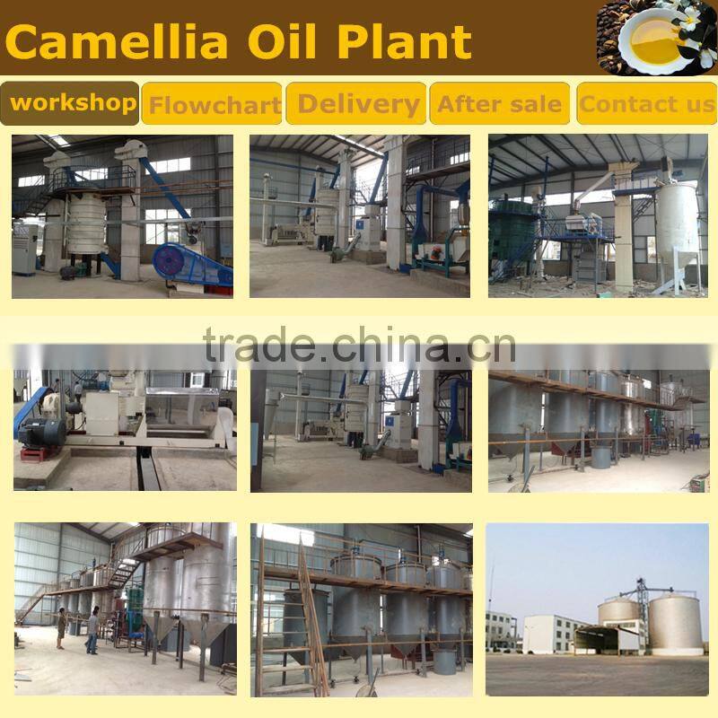 High Capacity Tea Seeds Oil Filter Machine Camellia Sinensis Seeds Oil Refinery