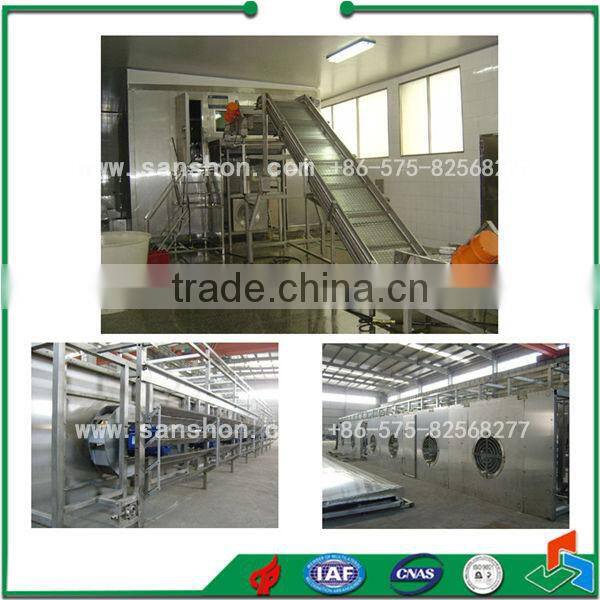 China Fruit Strawberry/Blueberry/Cherry Quick Freezing Line