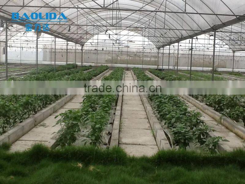 Professional Plastic Film Greenhouse Project Commercial Hydroponic Systems