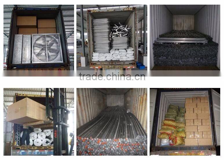 High Quality Tunnel Greenhouse