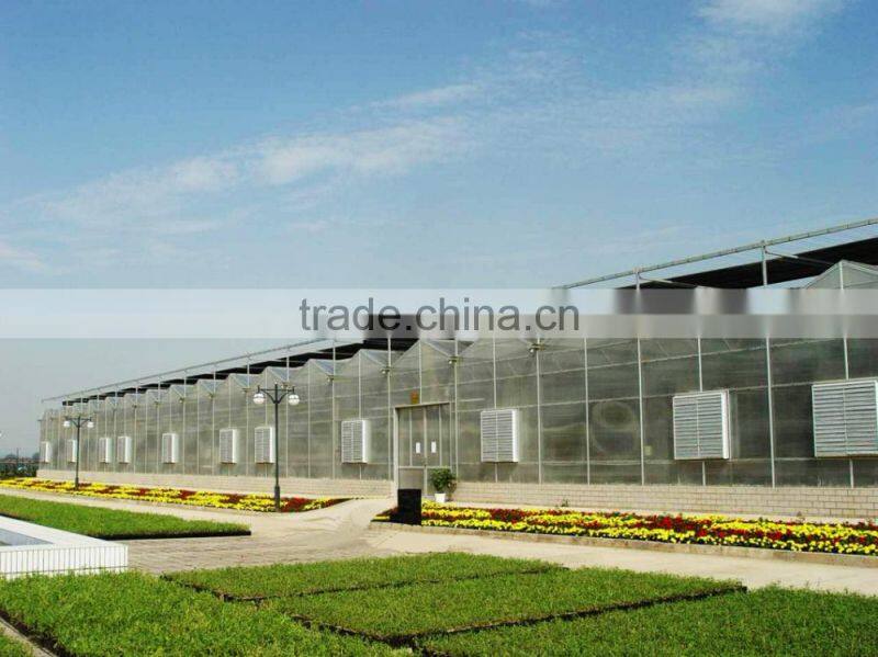 China professional greenhouse shade green house design