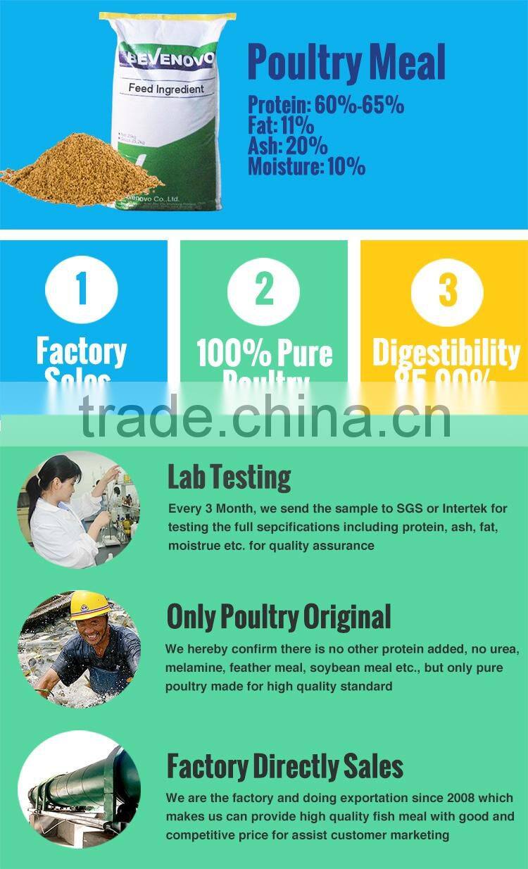 Meat And Bone Meal / MBM 60% 65% High Protein