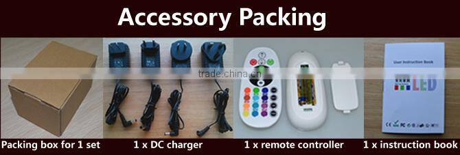 Vast different size models waterproof lighting Led Ball light