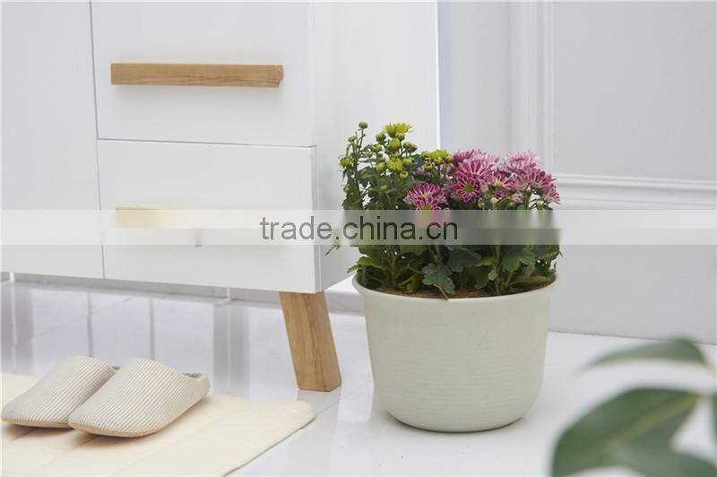 Plastic Round succulent Plant Pot/Cactus Plant Pot Flower Container