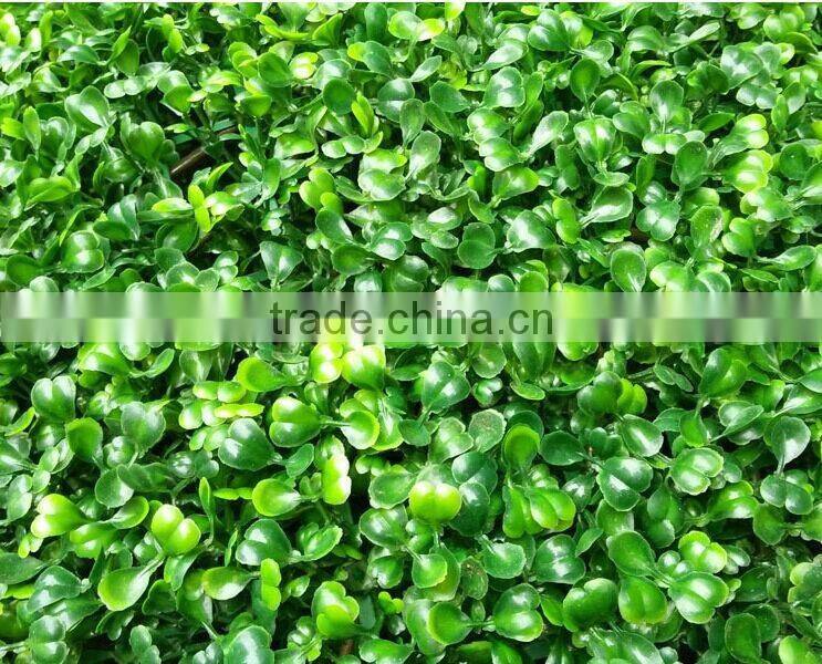Big grass green ball boxwood grass ball for decoration