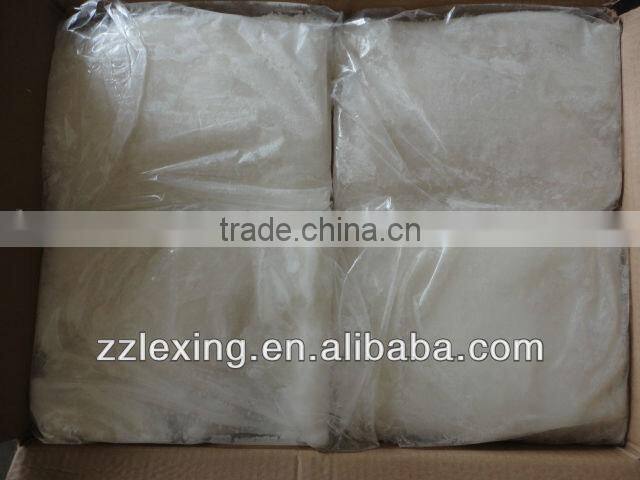 frozen giant squid fillet