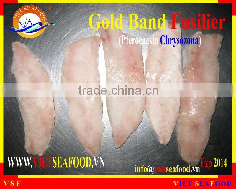 FROZEN GOLD BAND FUSILIER FILLET