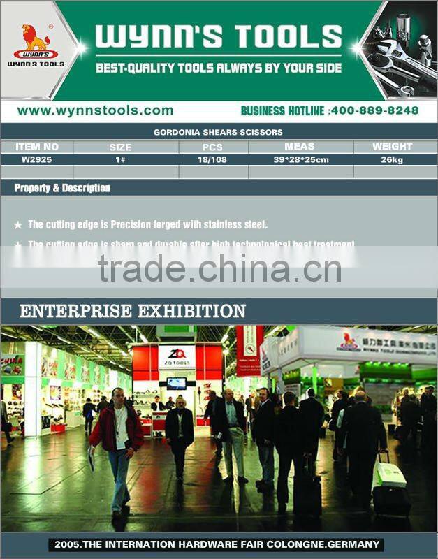 SCISSORS-(Gordonia shears)