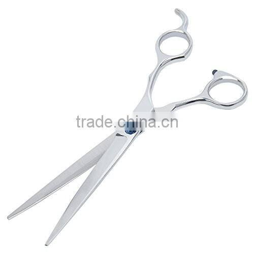 Professional Hairdressing Scissors