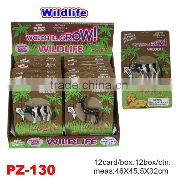 New and Special Growing Vegetables and Fruits