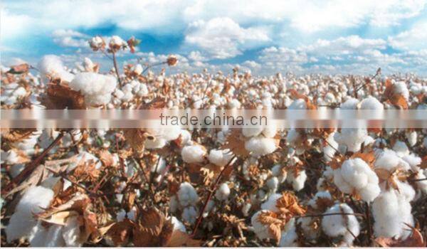 wholesale clothing China garment supplier latest style man shirt with competitive factory price