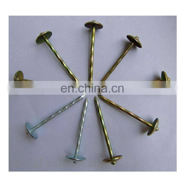 umbrella head galvanized roofing nails