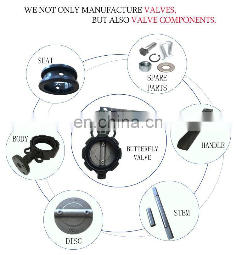 KXC ANSI gas hdpe check valve