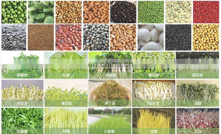 Wheat Grass Fodder Barley breeding machine