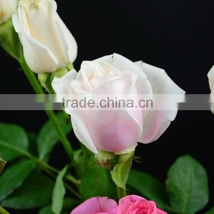 New Pink Avalache flower pink/red artificial roses
