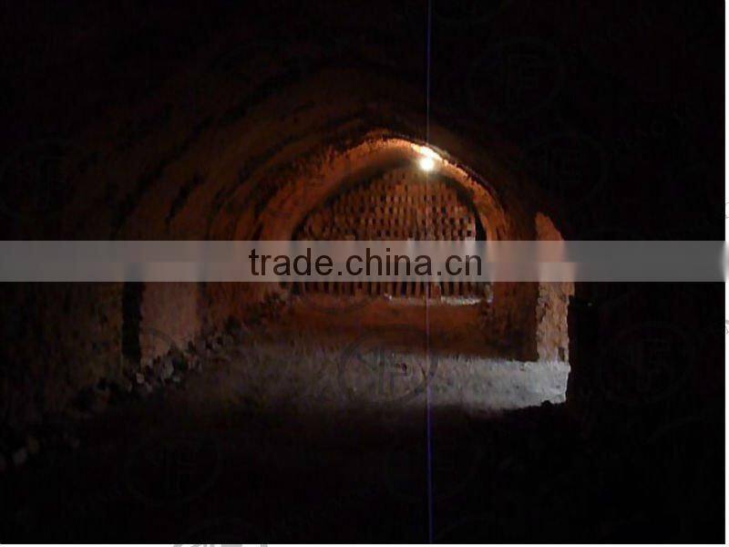 For clay brick making production line Hoffman kiln