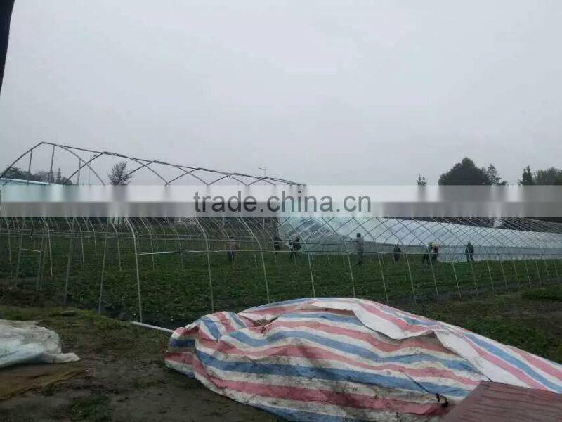 agricultural tunnel greenhouse
