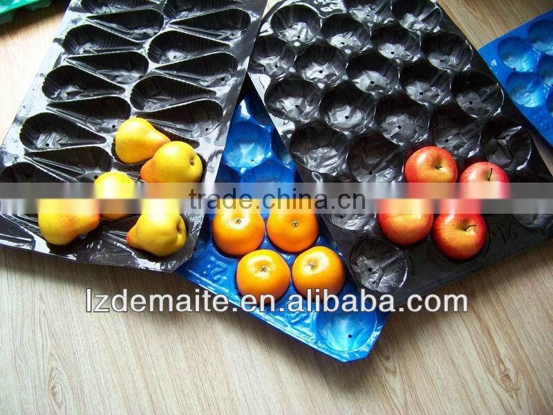 Green Food Packaging Tray Distributor