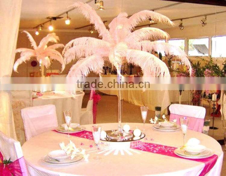 Dyed Ostric Feather, Feather ostric plumes for Carnival costumes