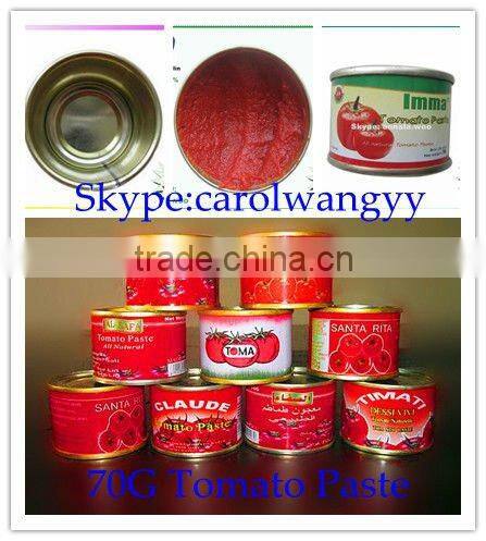 Tomato paste with paper label tin 3kg 28-30% brix,3000gx6tins