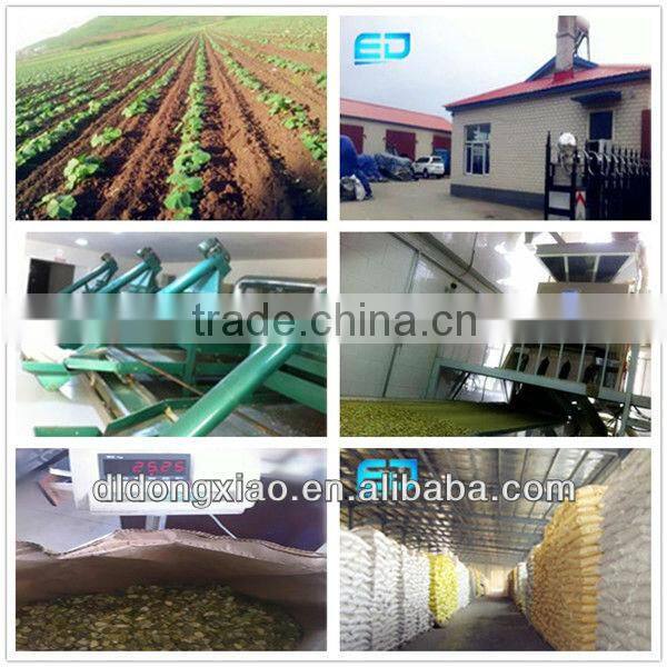 Hulled Sunflower Seed Kernel Bakery Grade