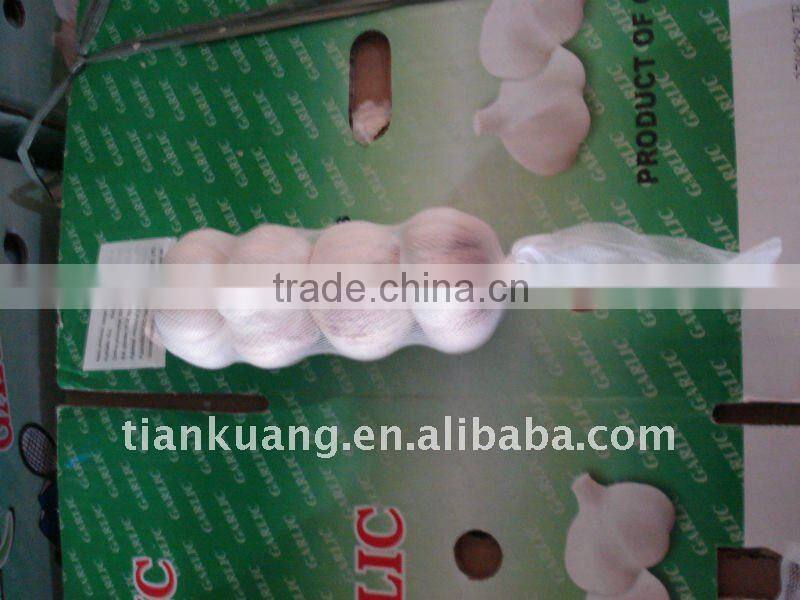 high quality Chinese normal garlic