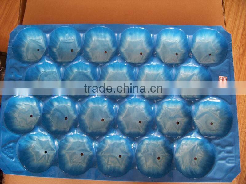 Flat Plastic Fruits Tray