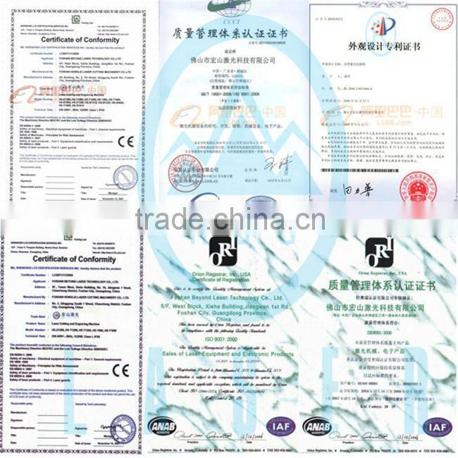 Hot Sale Stainless Steel Fiber Cut 500W IPG/Raycus Fiber Laser Cutting Machine